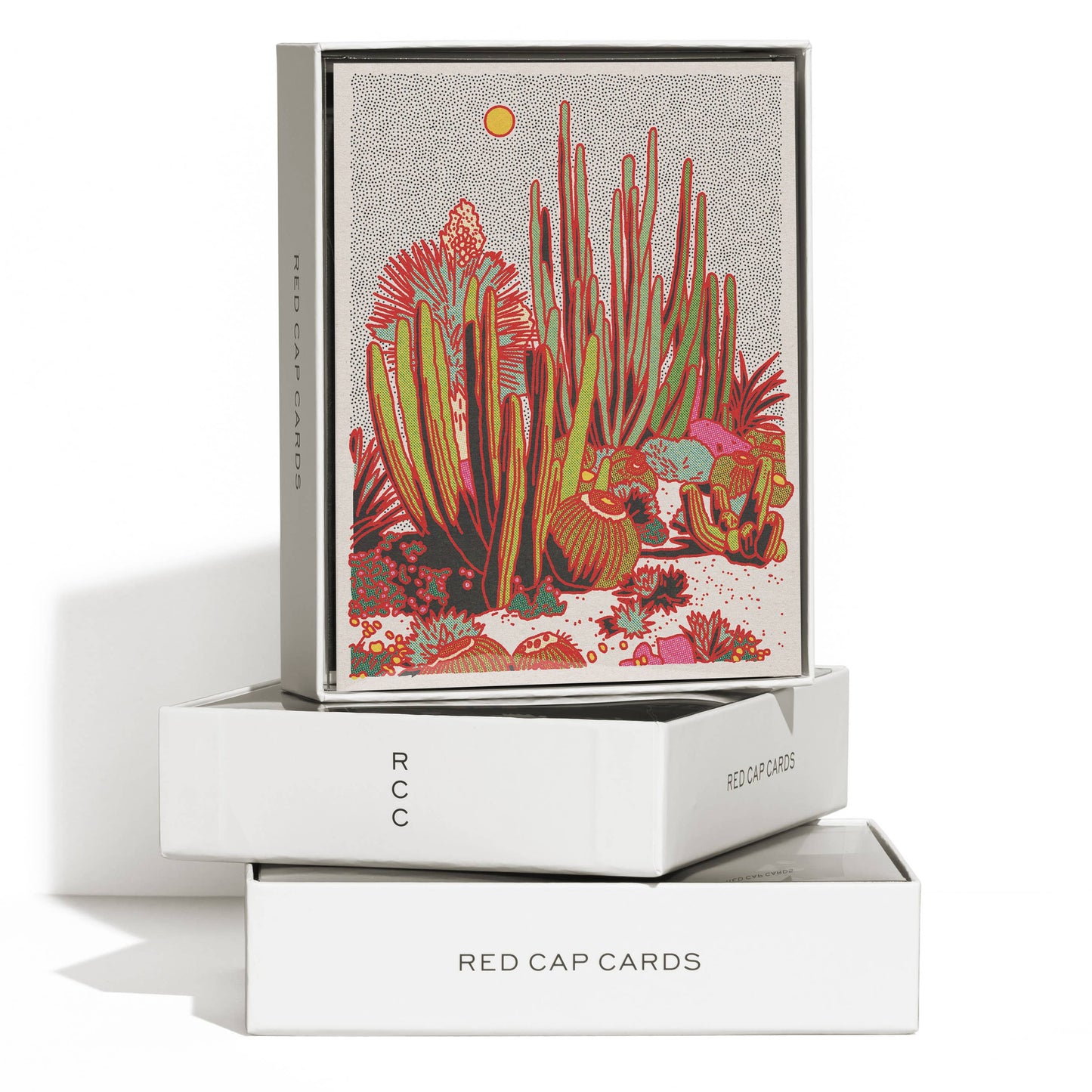 Red Cap Cards - Cactus Scene everyday greeting card: Singles