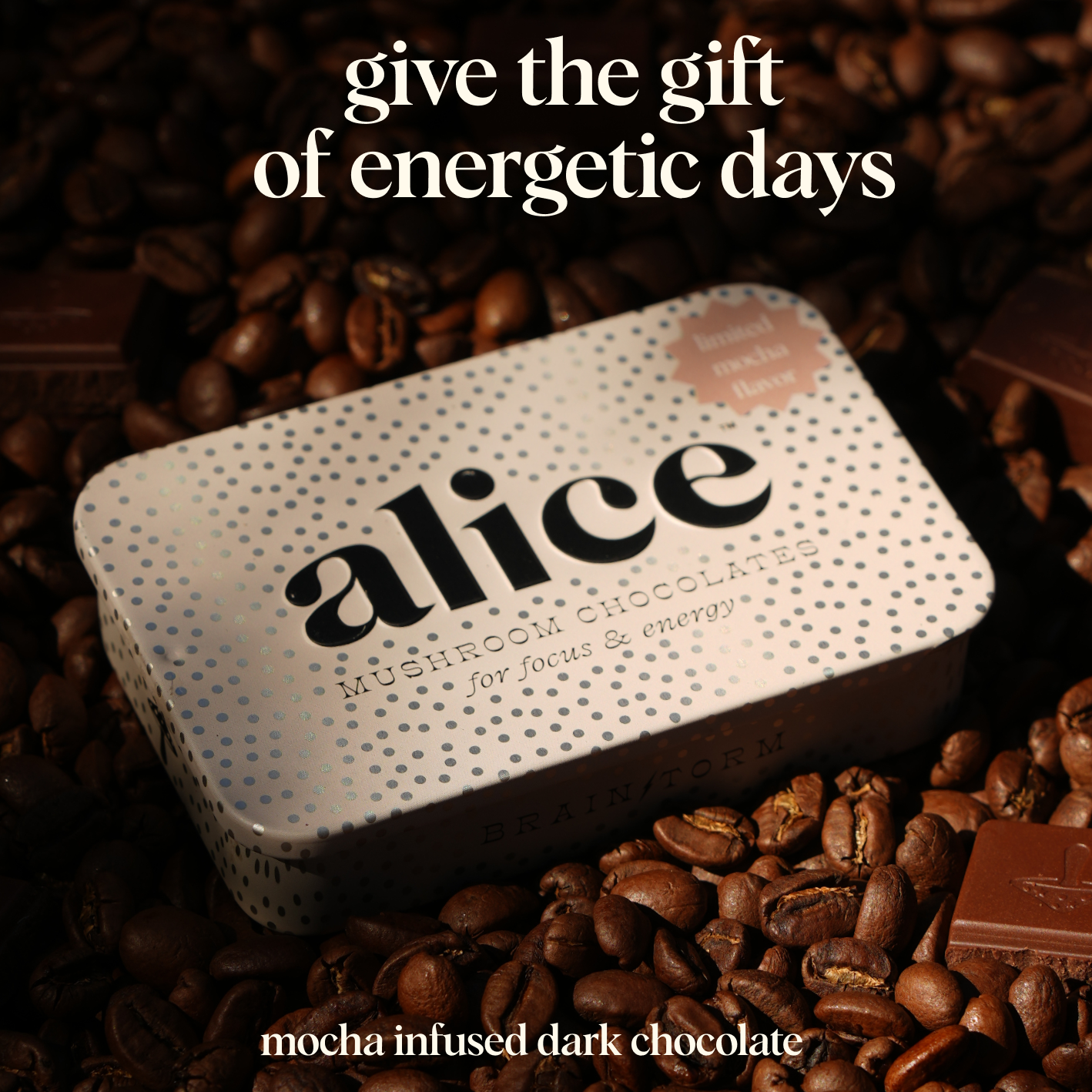 Alice Mushrooms - LIMITED HOLIDAY FLAVOR: Mocha Brainstorm — focus & energy