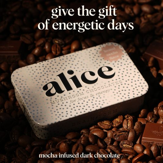 Alice Mushrooms - LIMITED HOLIDAY FLAVOR: Mocha Brainstorm — focus & energy