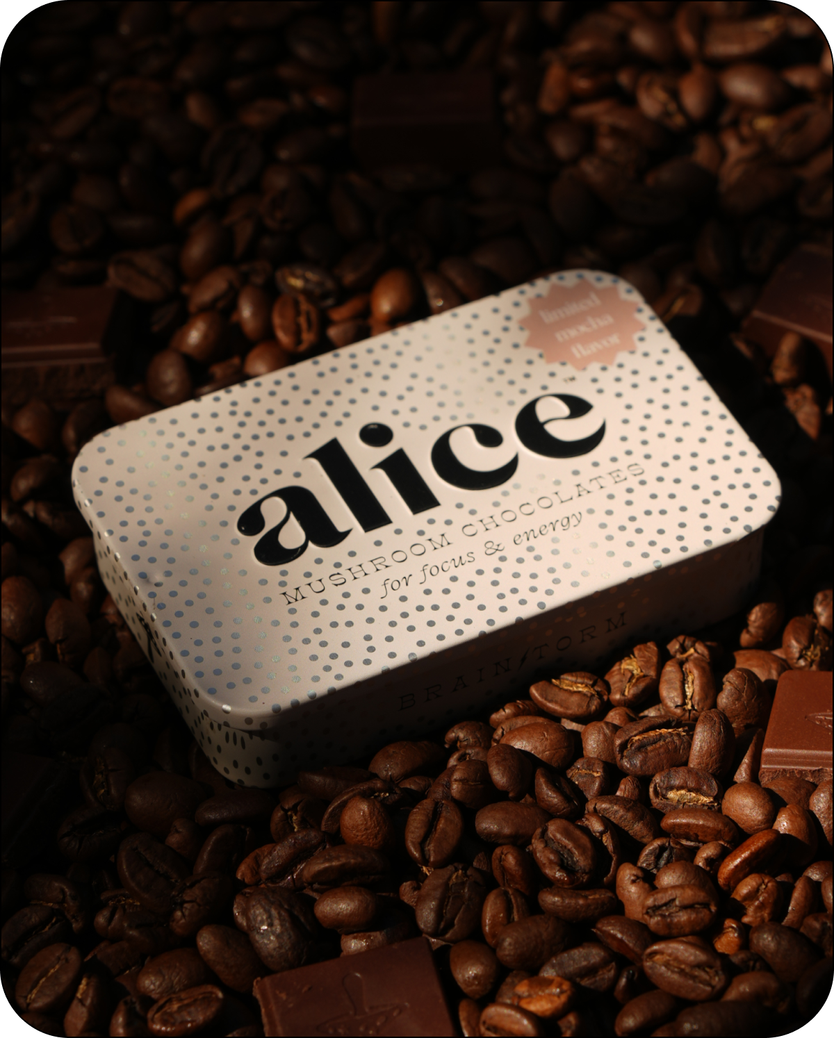 Alice Mushrooms - LIMITED HOLIDAY FLAVOR: Mocha Brainstorm — focus & energy
