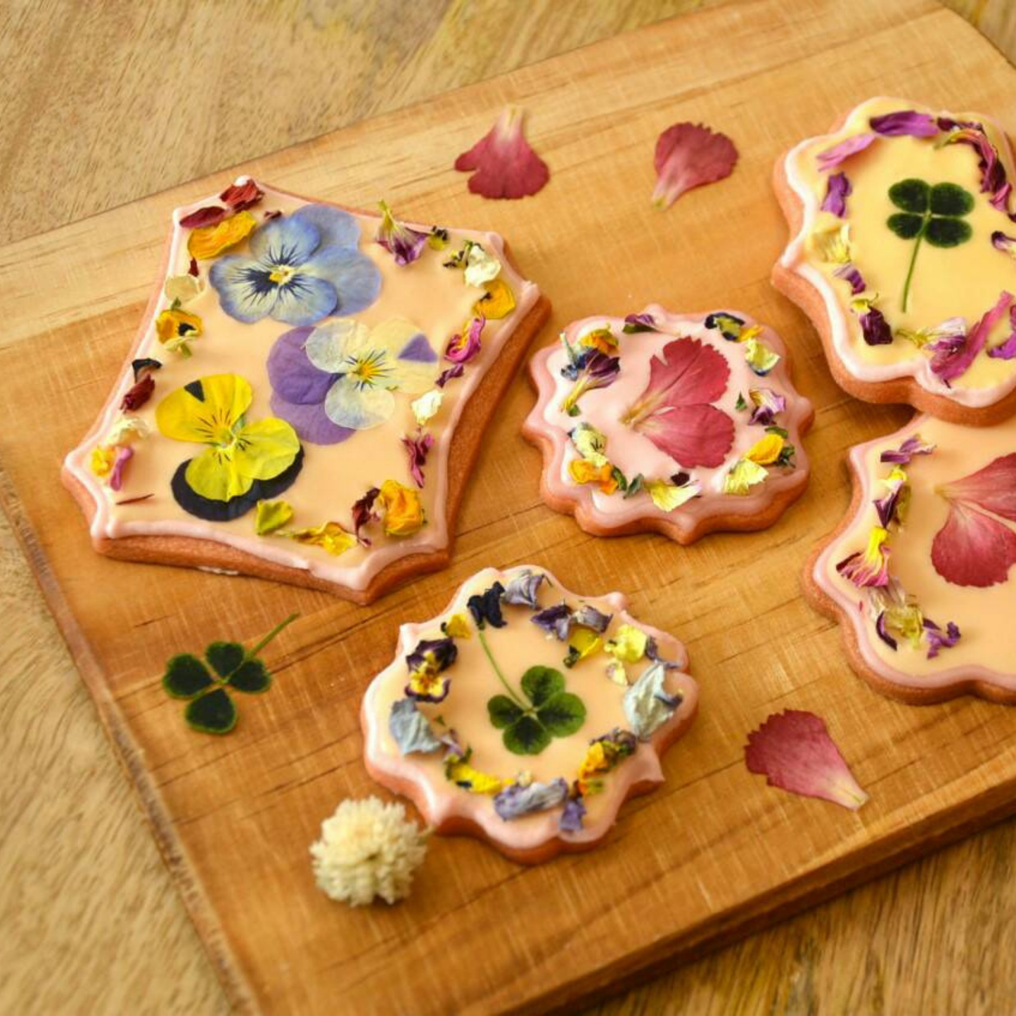 Umami Insider - Pressed Dried Edible Flowers
