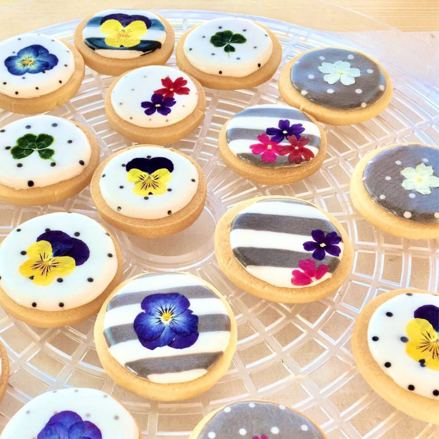 Umami Insider - Pressed Dried Edible Flowers