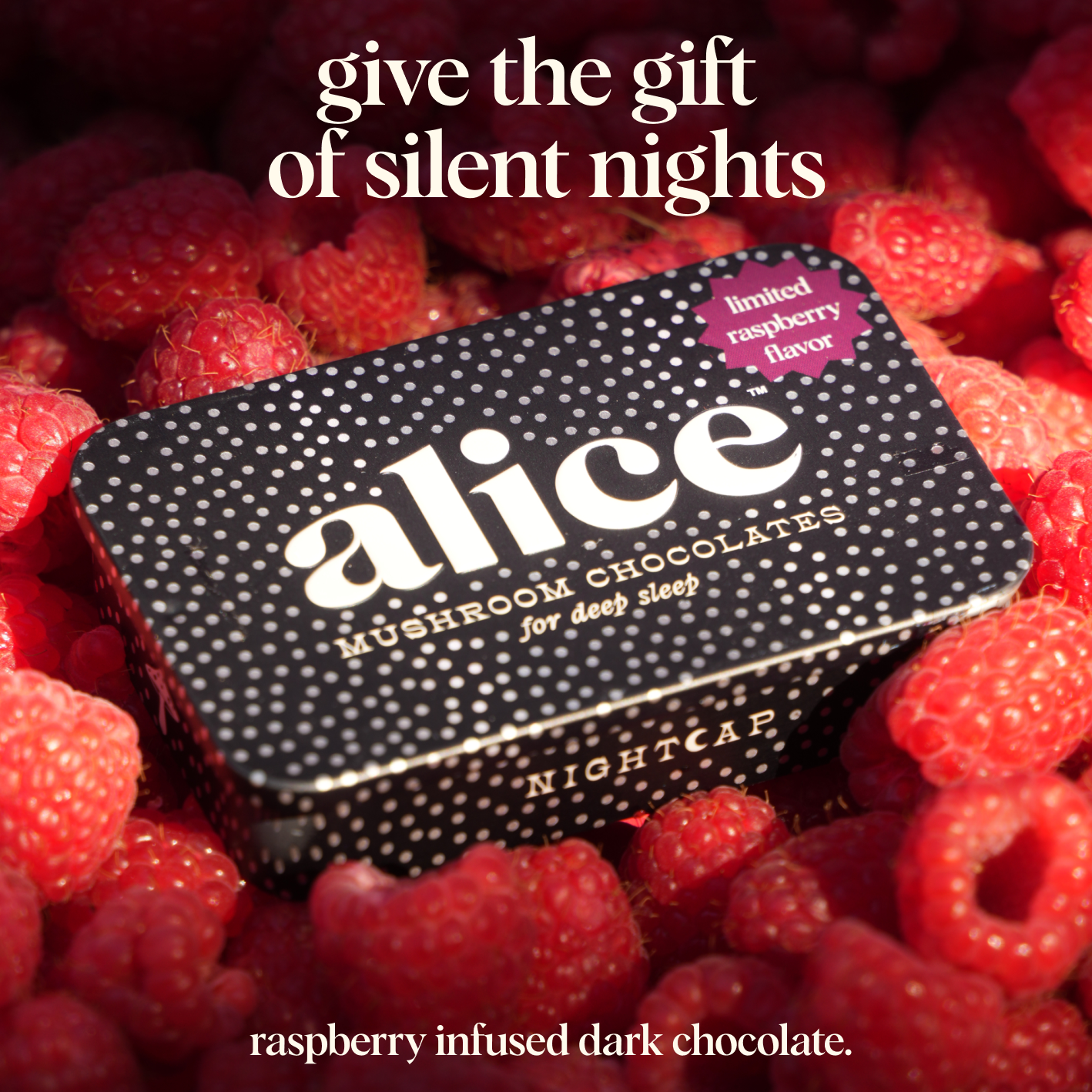 Alice Mushrooms - LIMITED HOLIDAY FLAVOR: Raspberry Nightcap — deep sleep