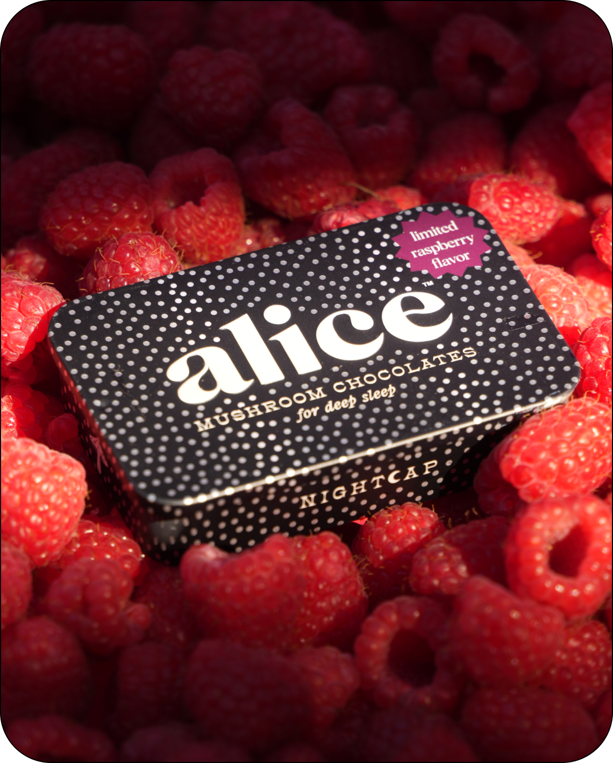 Alice Mushrooms - LIMITED HOLIDAY FLAVOR: Raspberry Nightcap — deep sleep