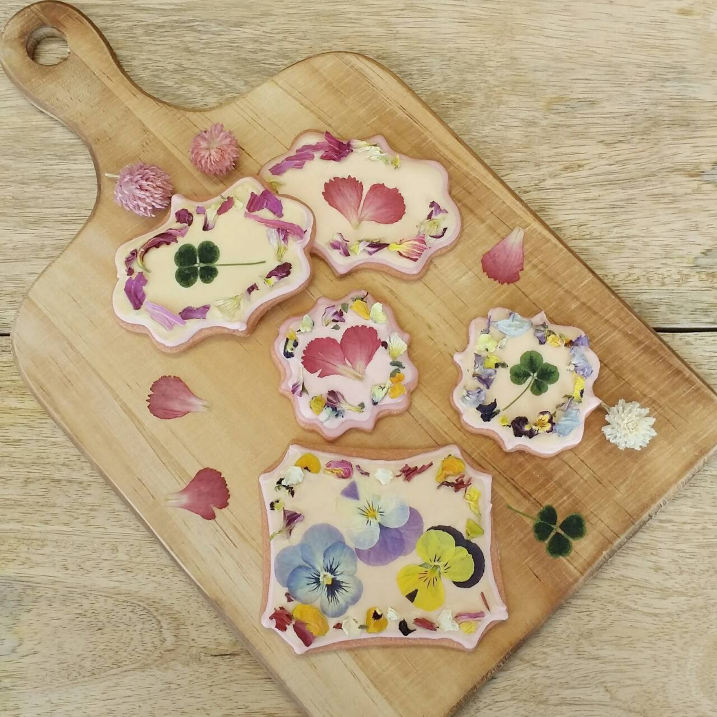 Umami Insider - Pressed Dried Edible Flowers