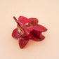 Paulina Otero - Orchid Hair-Claw in Fuscia: Big