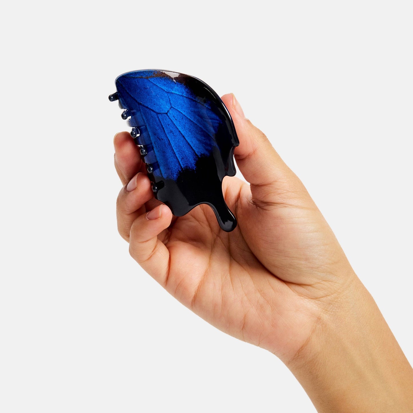 CHUNKS - Swallowtail Butterfly Claw