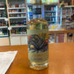 Abstinence Spirits