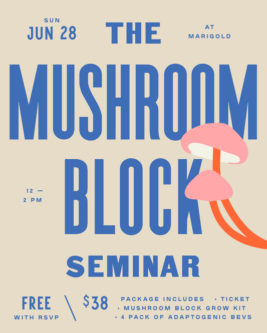 Mushroom Block Class - Sunday, June 28th, 12pm - 2pm