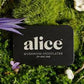 Alice - Decadent & Functional Chocolate Mushrooms