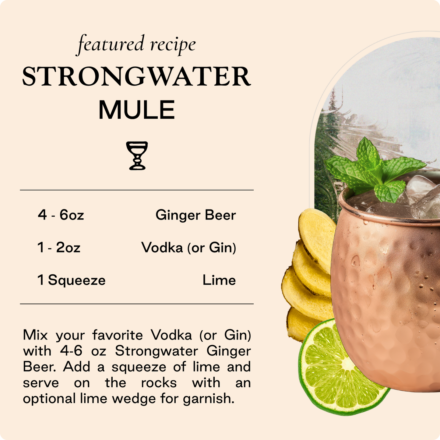 Strongwater - Ginger Beer - 24 Pack Of Cans