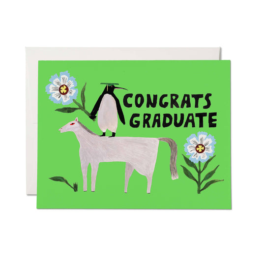 Red Cap Cards - Penguin Pomp greeting card: Single