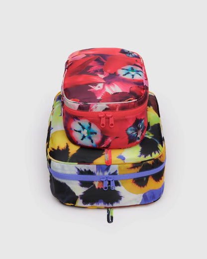 Packing Cube Set