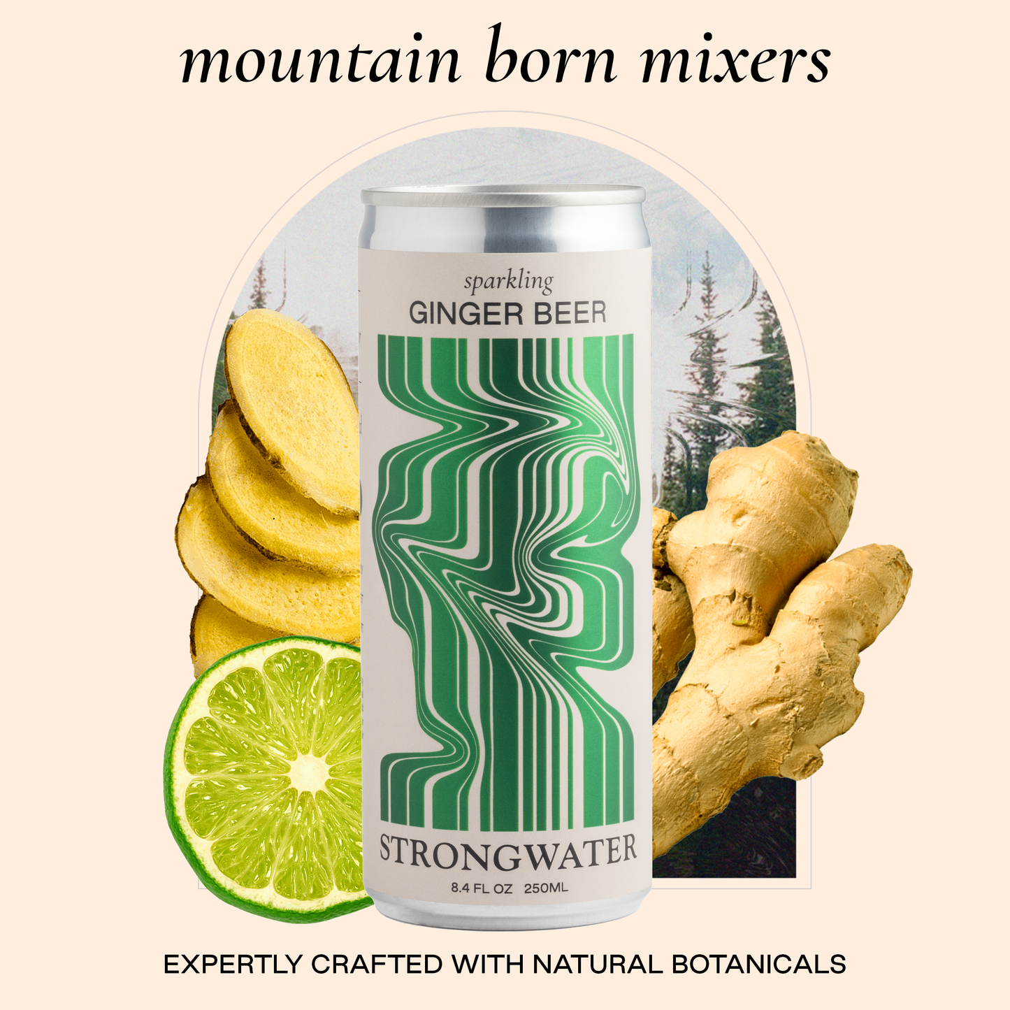 Strongwater - Ginger Beer - 24 Pack Of Cans