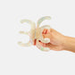 CHUNKS - Octopus Claw in Large Pearl Shimmer