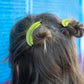 Jenny Lemons - Banana Hair Clip Set