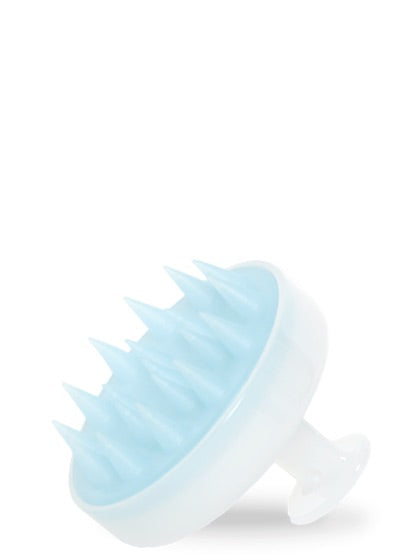 Scalp Brush